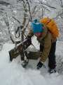 3458_Koji_digging