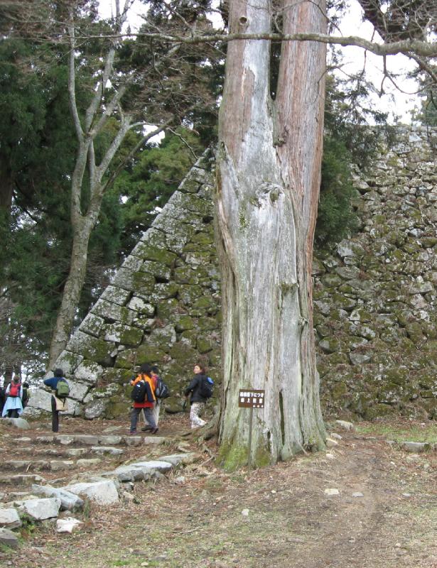 5223_Takatoriyama_castle