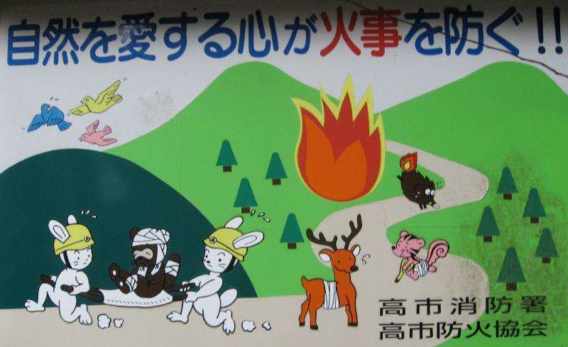 5259_Rabbit_rescue