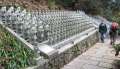 5250_Buddhas