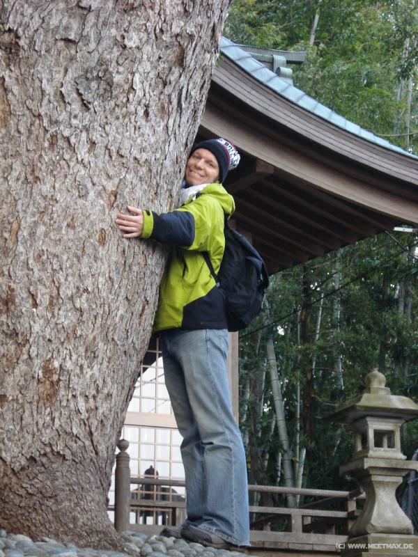0224_Hug_the_big_tree