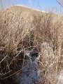 5641b_Bushwalk