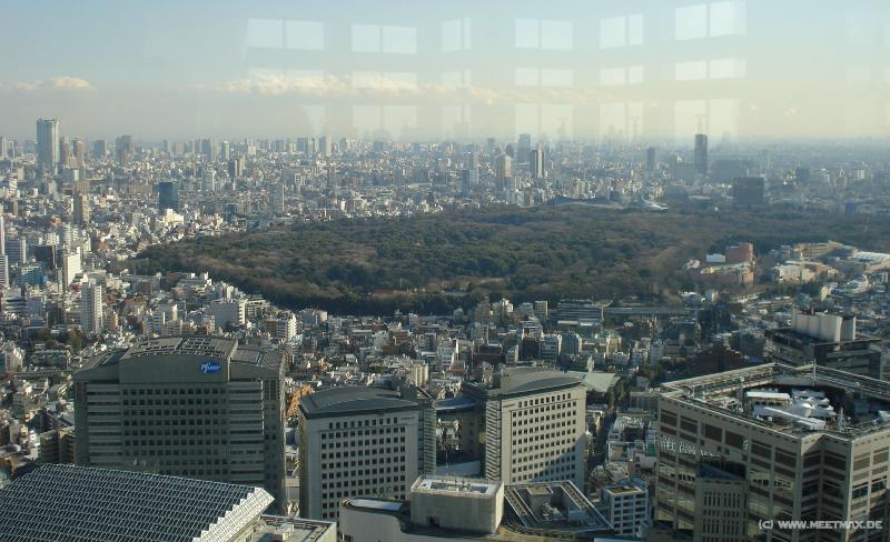 3928_Yoyogi_Park