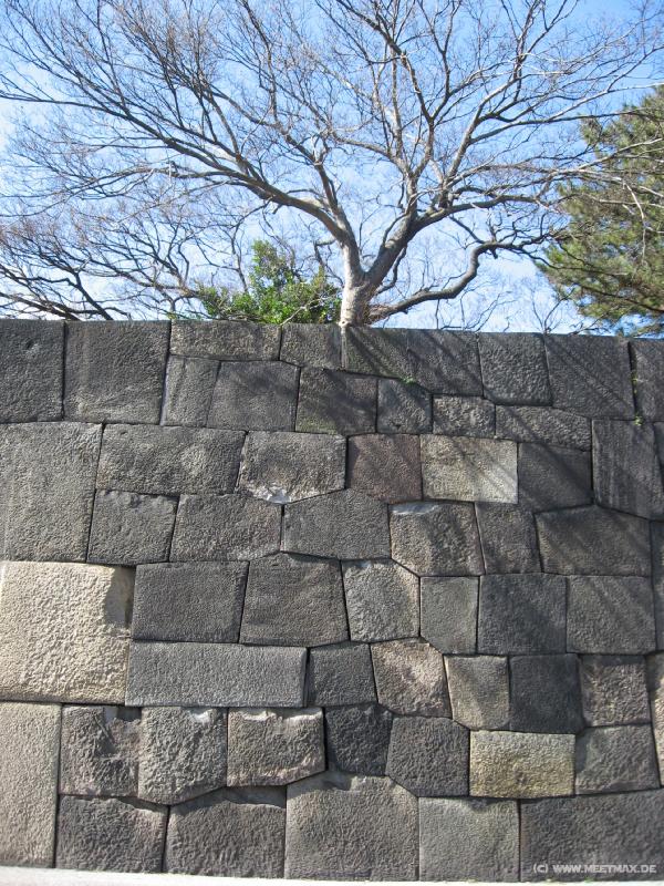 5829_Wall