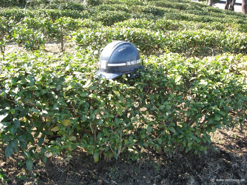 5831_Helmet