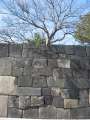 5829_Wall