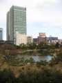 5996_Kyu-Shiba-rikyu_Gardens