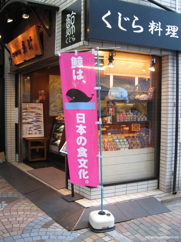 6068_Whale_shop