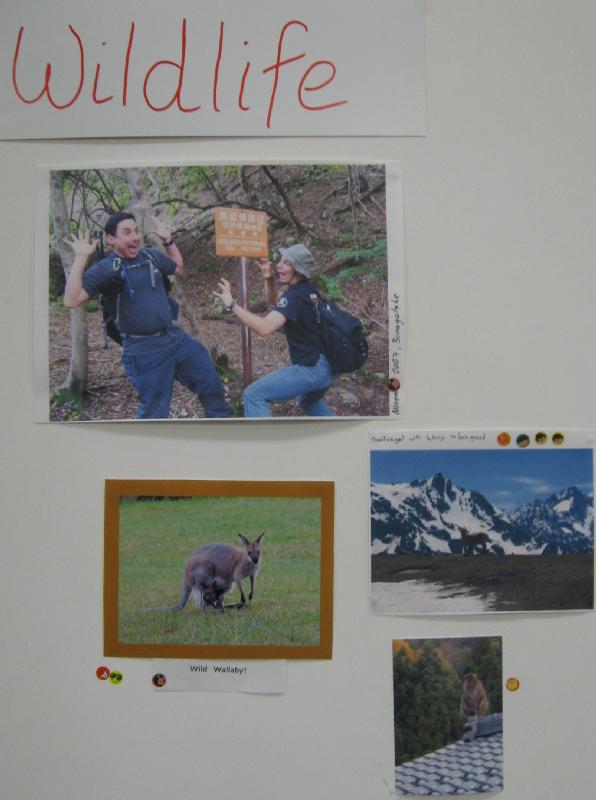 6375_Wildlife