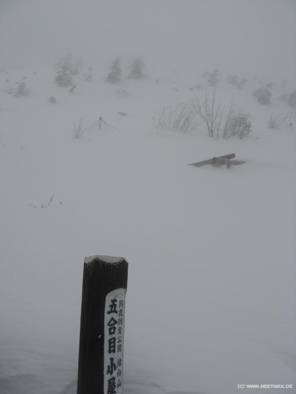6467_Snowstorm