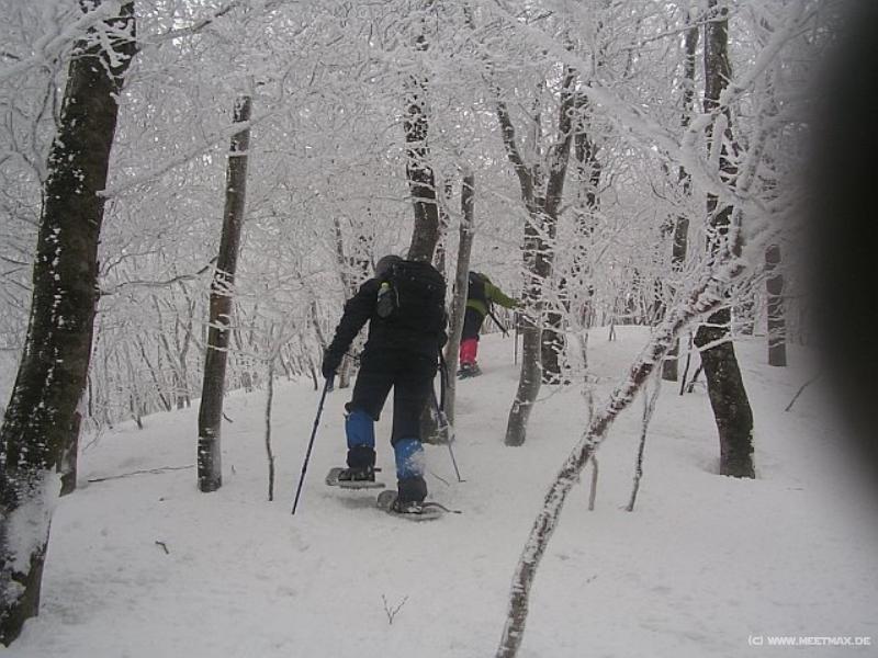 6477_To_the_summit