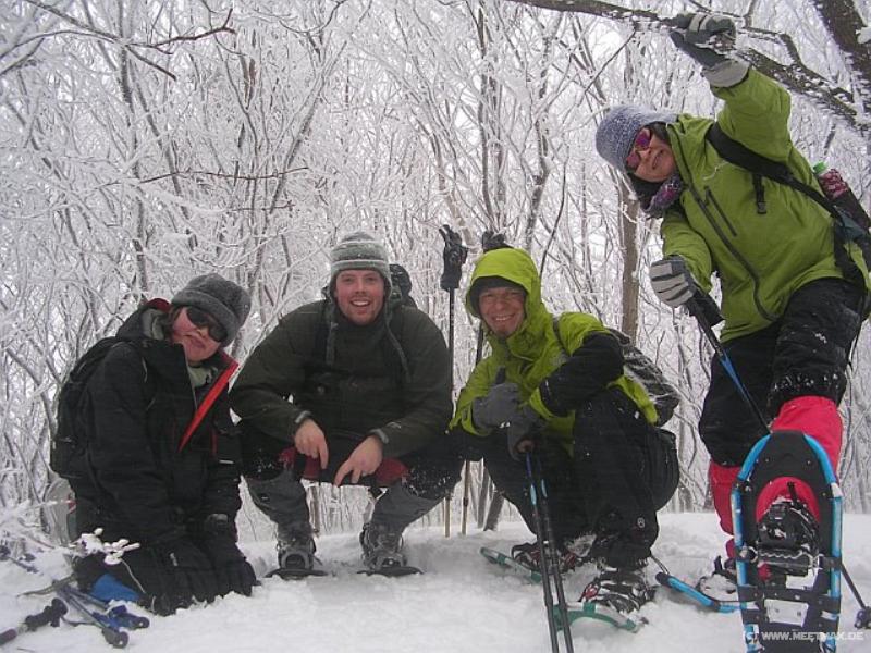6479_On_the_summit