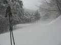 6447_Snowstorm