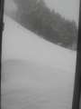 6466_Look_outside