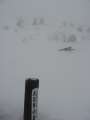 6467_Snowstorm