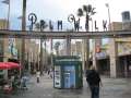 6508_Palm_Walk