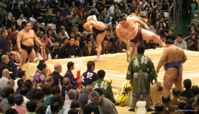 7050