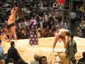 6919