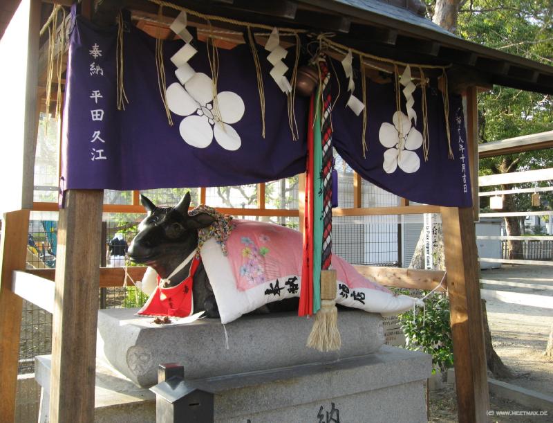 6849_Kuh