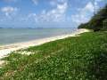 8162_Ipan_Beach