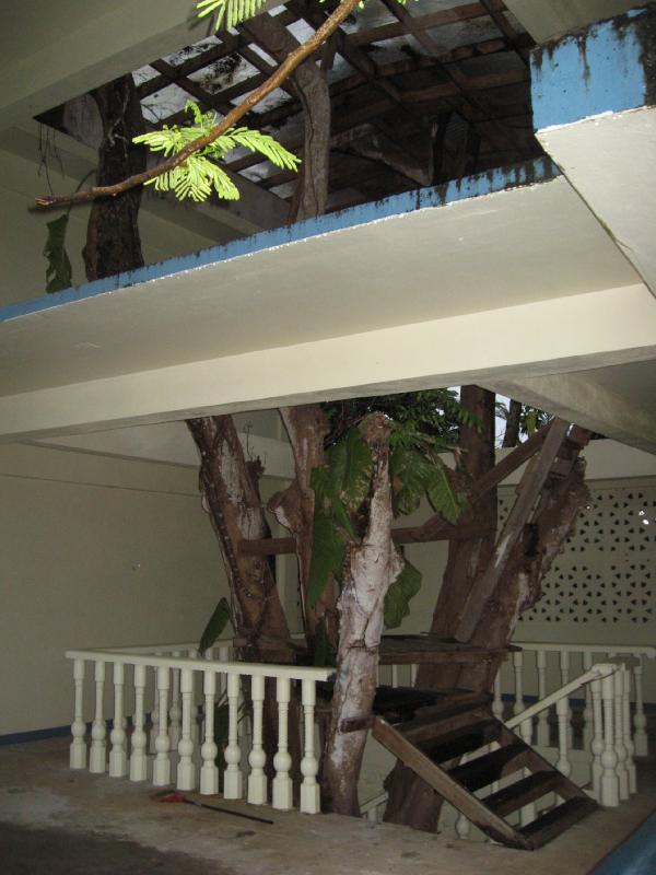 8170_Tree_house