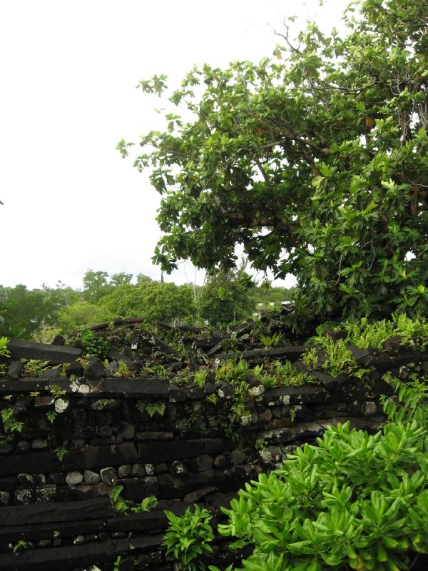 8200_Nan_Madol