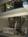 8170_Tree_house