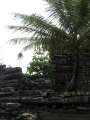 8197_Nan_Madol