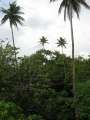 8207_Nan_Madol