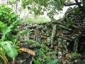 8216_Nan_Madol