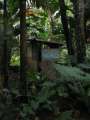 8237_Jungle_rest_room