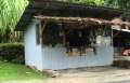 8246_Street_shop