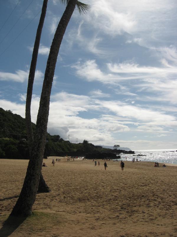 8334_Waimea_bay_beach