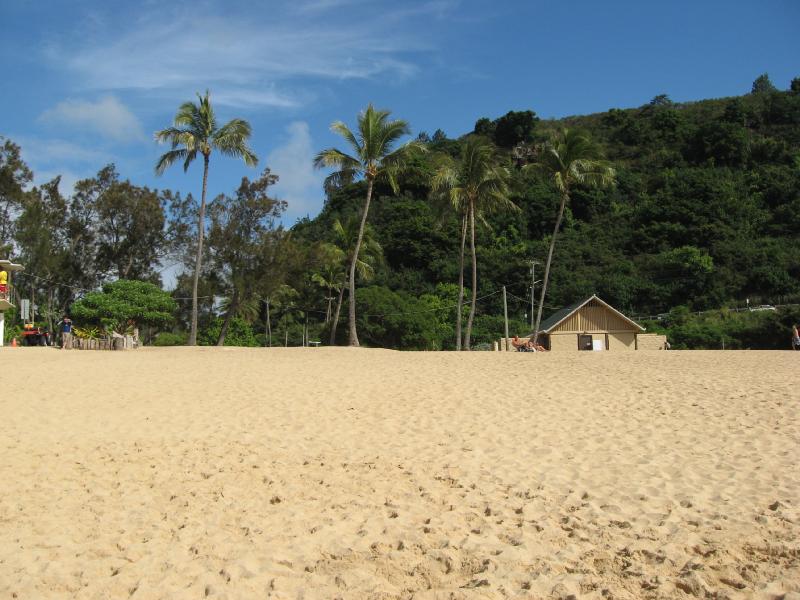 8335_Waimea_bay_beach