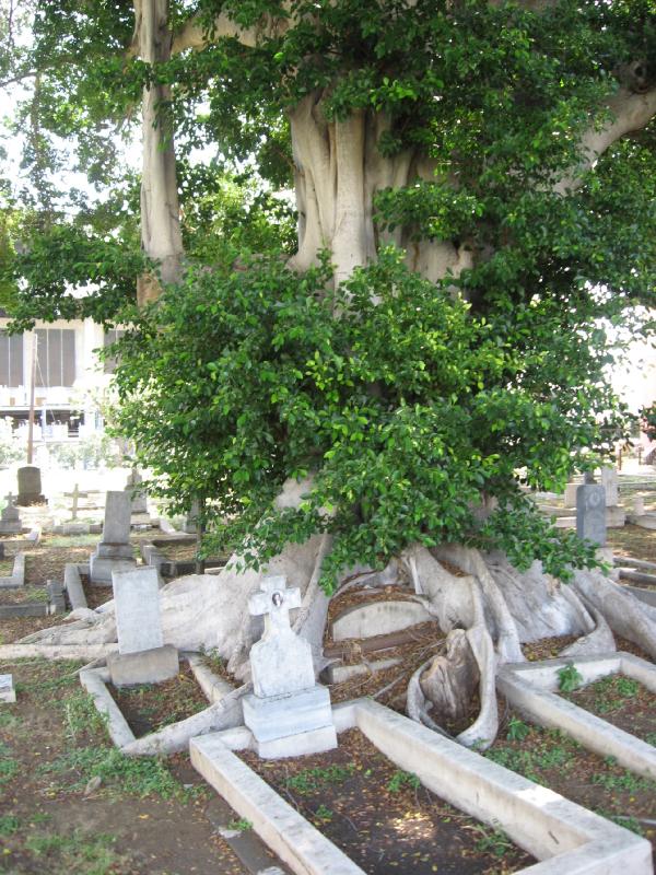8367_King_Street_cemetery