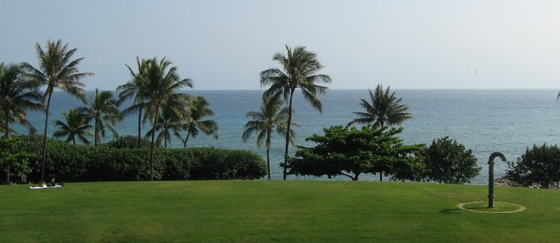 8376_Kakaako_Waterfront_Park