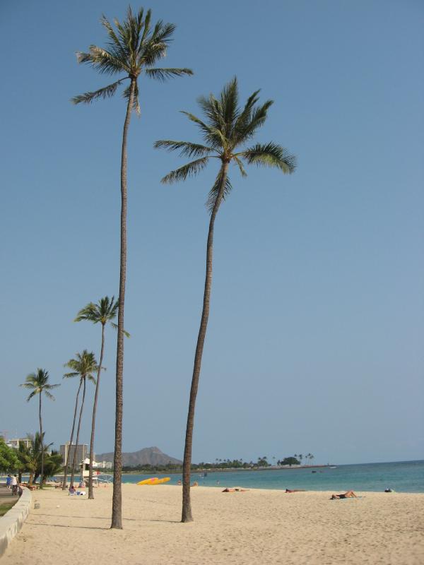 8381_Ala_Moana_beach_park