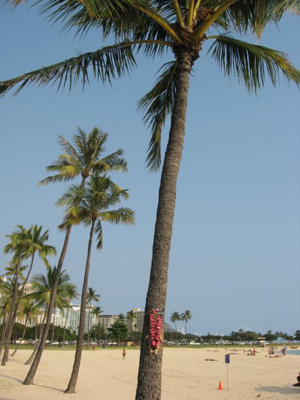 8386_Ala_Moana_beach_park