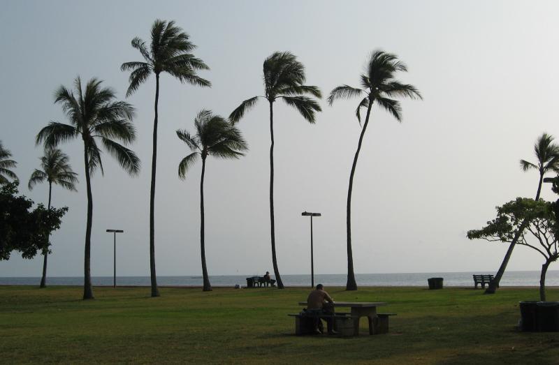 8387_Magic_Island