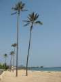 8381_Ala_Moana_beach_park
