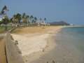 8391_Magic_Island