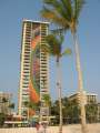8393_Hilton