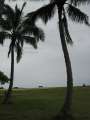 8440_Kailua