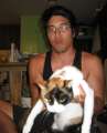 8468_Cat_attack