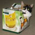 8485_Cat_box