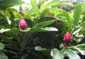 8518