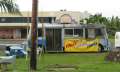 8521_Shrimp_bus