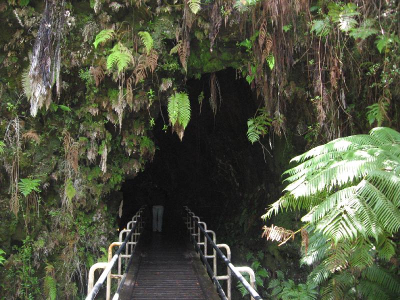8665_Thurston_lava_tube