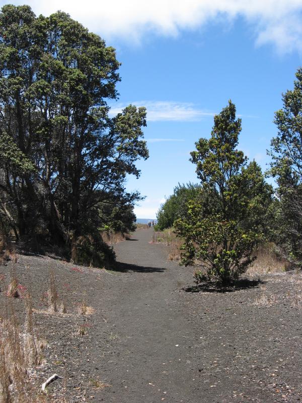 8676_Devastation_trail