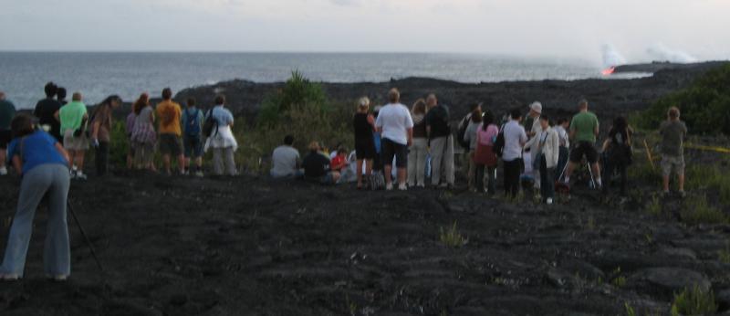 8833_Lava_watchers